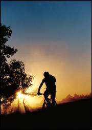 mountainbikeriding.jpg